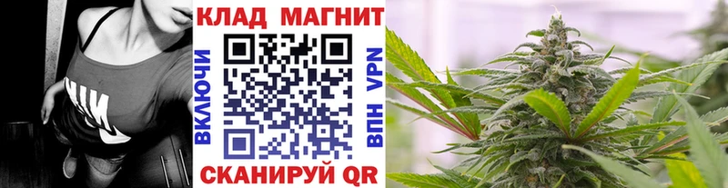 Виды наркоты Енисейск Псилоцибиновые грибы  Меф мяу мяу  Гашиш  Марихуана 