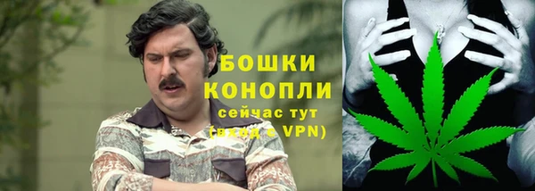 дживик Великий Новгород