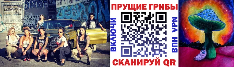 Галлюциногенные грибы Psilocybe  Енисейск 